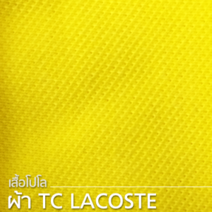 เสื้อโปโล TC Lacoste
